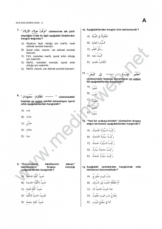 -ara1001-17_18-guz-ds2jpg