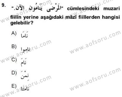 �sim:  arap 9.jpg
G�r�nt�leme: 222
B�y�kl�k:  13,4 KB (Kilobyte)