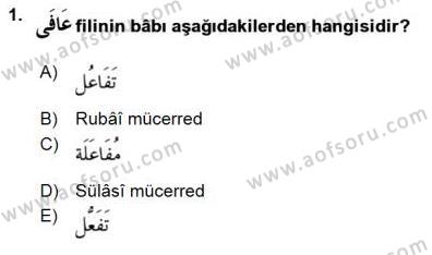 �sim:  arap 21.jpg
G�r�nt�leme: 217
B�y�kl�k:  11,3 KB (Kilobyte)