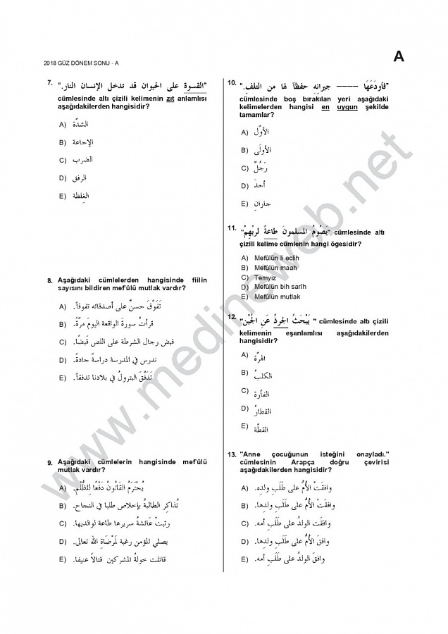 -ara2001-17_18-guz-dspdf2jpg