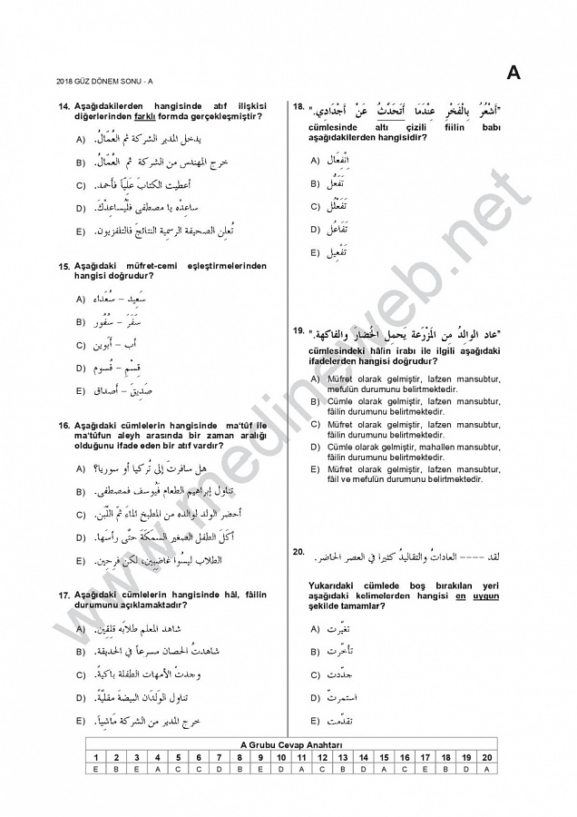 -ara2001-17_18-guz-dspdf3jpg