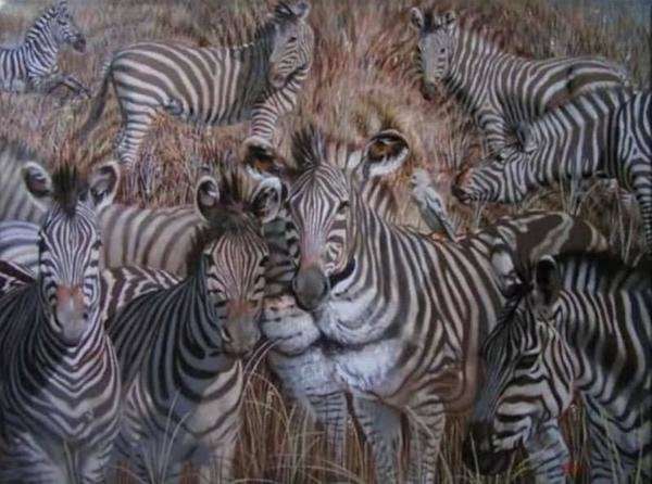 �sim:  zebra.jpg
G�r�nt�leme: 85
B�y�kl�k:  43,2 KB (Kilobyte)