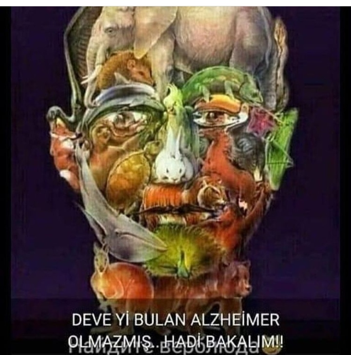 �sim:  IMG_20200403_164917.jpg
G�r�nt�leme: 83
B�y�kl�k:  149,3 KB (Kilobyte)