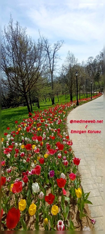 �sim:  1000102582.jpg
G�r�nt�leme: 34
B�y�kl�k:  122,6 KB (Kilobyte)