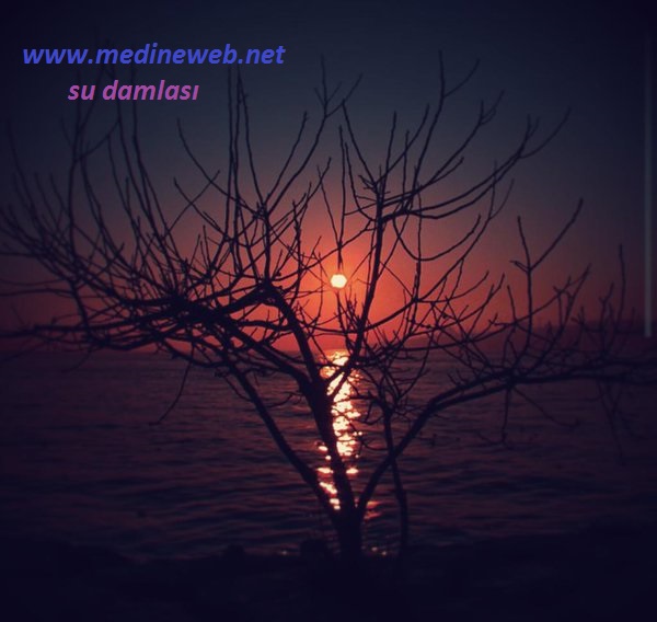 �sim:  s1.jpg
G�r�nt�leme: 116
B�y�kl�k:  66,9 KB (Kilobyte)