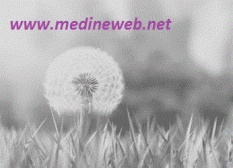 �sim:  klm.jpg
G�r�nt�leme: 98
B�y�kl�k:  18,4 KB (Kilobyte)