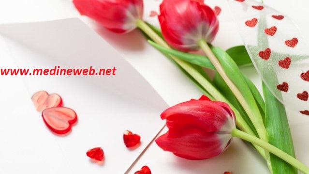 �sim:  23.jpg
G�r�nt�leme: 122
B�y�kl�k:  53,8 KB (Kilobyte)