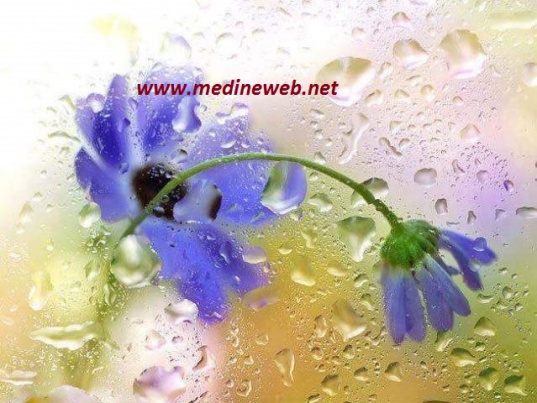 �sim:  cvb.jpg
G�r�nt�leme: 94
B�y�kl�k:  97,0 KB (Kilobyte)