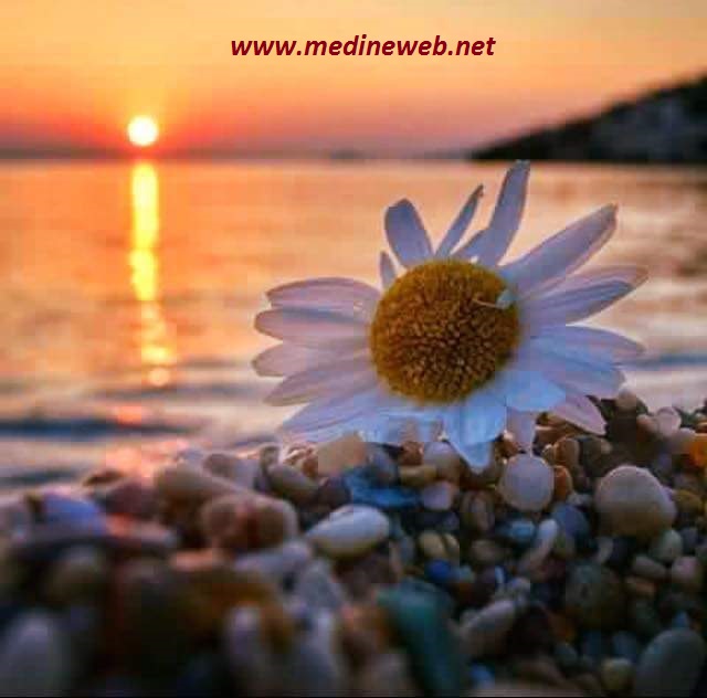 �sim:  01.jpg
G�r�nt�leme: 120
B�y�kl�k:  61,6 KB (Kilobyte)