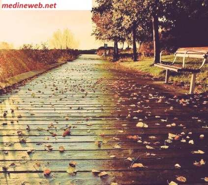 �sim:  sonbahar.jpg
G�r�nt�leme: 100
B�y�kl�k:  97,5 KB (Kilobyte)