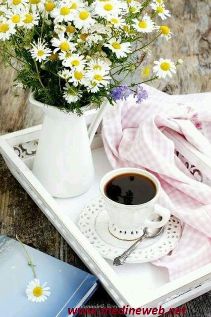 �sim:  aile.jpg
G�r�nt�leme: 141
B�y�kl�k:  89,6 KB (Kilobyte)