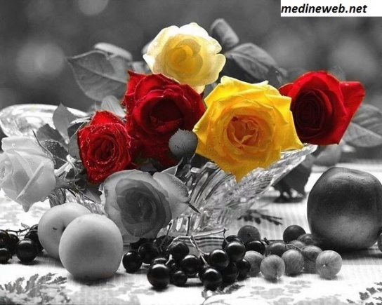 �sim:  g�zel resim 24.jpg
G�r�nt�leme: 95
B�y�kl�k:  92,6 KB (Kilobyte)