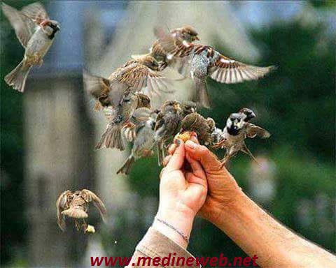 �sim:  1.jpg
G�r�nt�leme: 111
B�y�kl�k:  60,4 KB (Kilobyte)