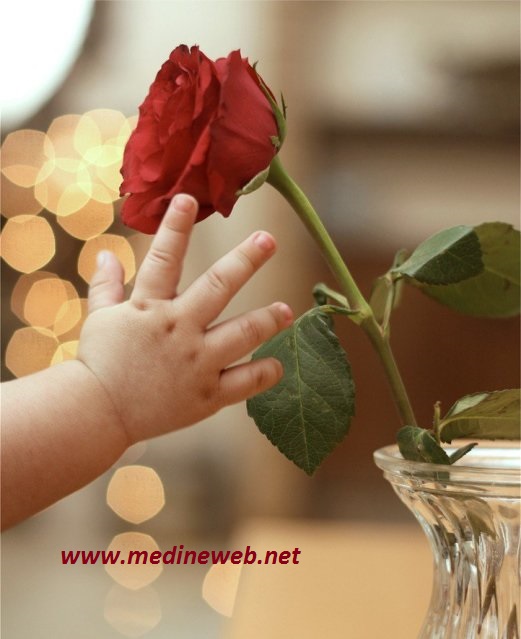 �sim:  al.jpg
G�r�nt�leme: 105
B�y�kl�k:  69,2 KB (Kilobyte)
