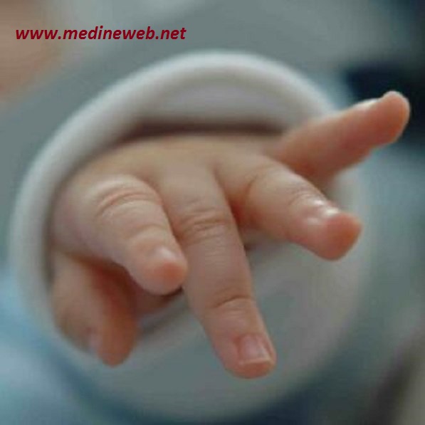 �sim:  2.jpg
G�r�nt�leme: 132
B�y�kl�k:  44,0 KB (Kilobyte)