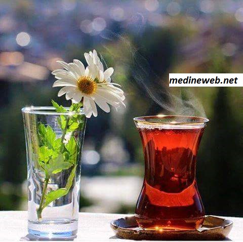 �sim:  �ay 2.jpg
G�r�nt�leme: 95
B�y�kl�k:  67,9 KB (Kilobyte)