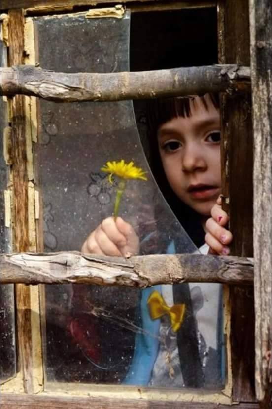 �sim:  res2.jpg
G�r�nt�leme: 83
B�y�kl�k:  54,3 KB (Kilobyte)
