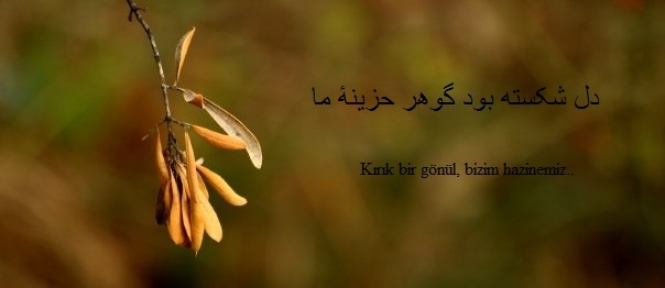 �sim:  JEYzaW.jpg
G�r�nt�leme: 134
B�y�kl�k:  23,6 KB (Kilobyte)