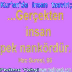 -fdmmedinewebjpg