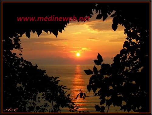 �sim:  02.jpg
G�r�nt�leme: 46
B�y�kl�k:  55,9 KB (Kilobyte)