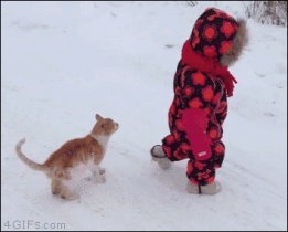 �sim:  oy.jpg
G�r�nt�leme: 103
B�y�kl�k:  19,6 KB (Kilobyte)