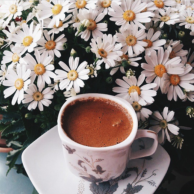 �sim:  Soyle-papatyalar-arasinda-bir-turk-kahvesi-ile-aydinlanircasina-uyansak-@turkishcoffeelover-cok-.jpg
G�r�nt�leme: 109
B�y�kl�k:  147,3 KB (Kilobyte)