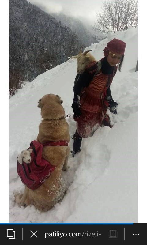 �sim:  rize.jpg
G�r�nt�leme: 101
B�y�kl�k:  41,5 KB (Kilobyte)