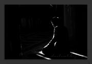 MusabBinumeyr - ait Kullan�c� Resmi (Avatar)