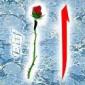 elify�nt - ait Kullan�c� Resmi (Avatar)