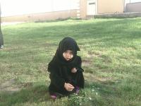 Z�LK�F ARSLAN - ait Kullan�c� Resmi (Avatar)