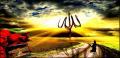 nazl�350 - ait Kullan�c� Resmi (Avatar)