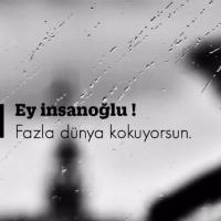 Gallaxy - ait Kullan�c� Resmi (Avatar)