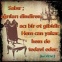gdclr - ait Kullan�c� Resmi (Avatar)