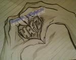 enderhaf�z�m - ait Kullan�c� Resmi (Avatar)